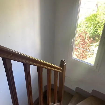 Terra's House